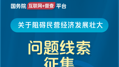 操嫩逼网址国务院“互联网+督查”平台公开征集阻碍民营经济发展壮大问题线索